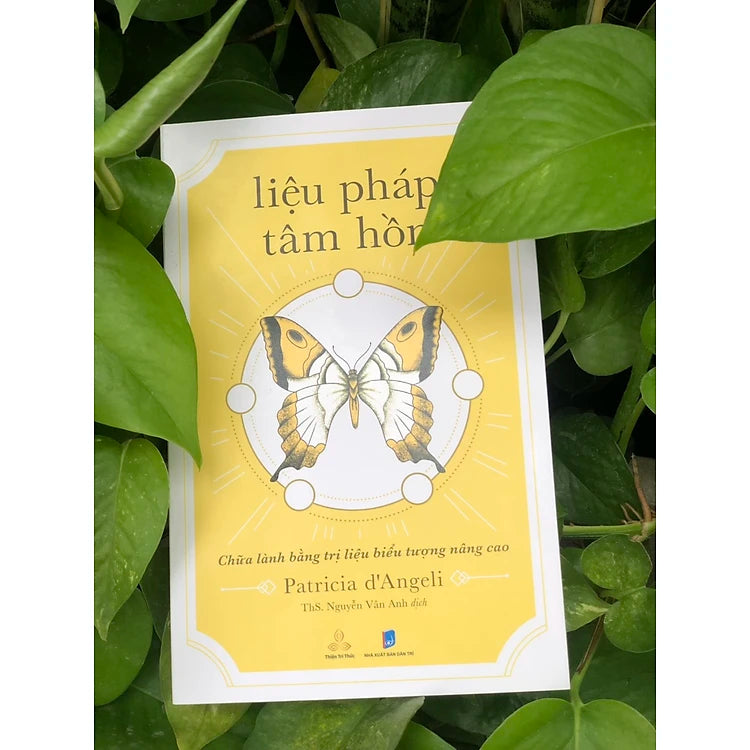 Liệu Pháp Tâm Hồn - Chữa Lành Bằng Trị Liệu Biểu Tượng Nâng Cao