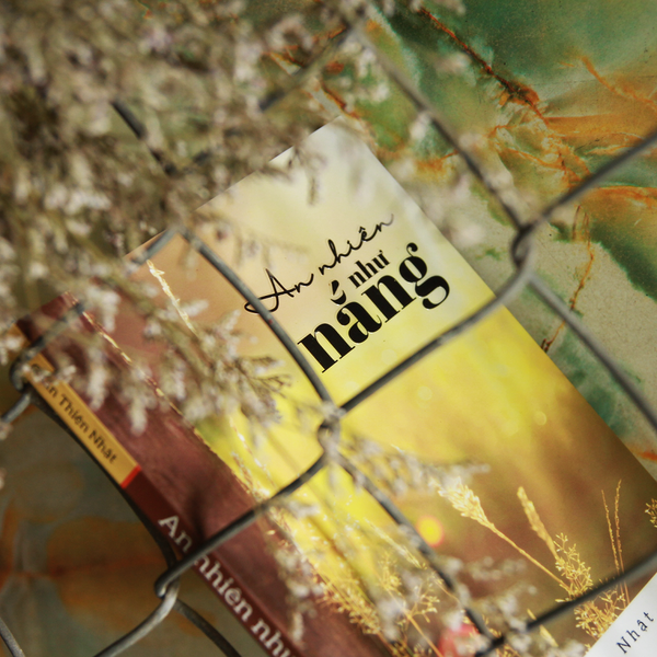 An Nhiên Như Nắng