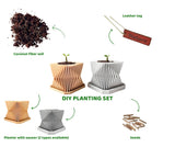 Set trồng cây mini - cây hoa sứ
