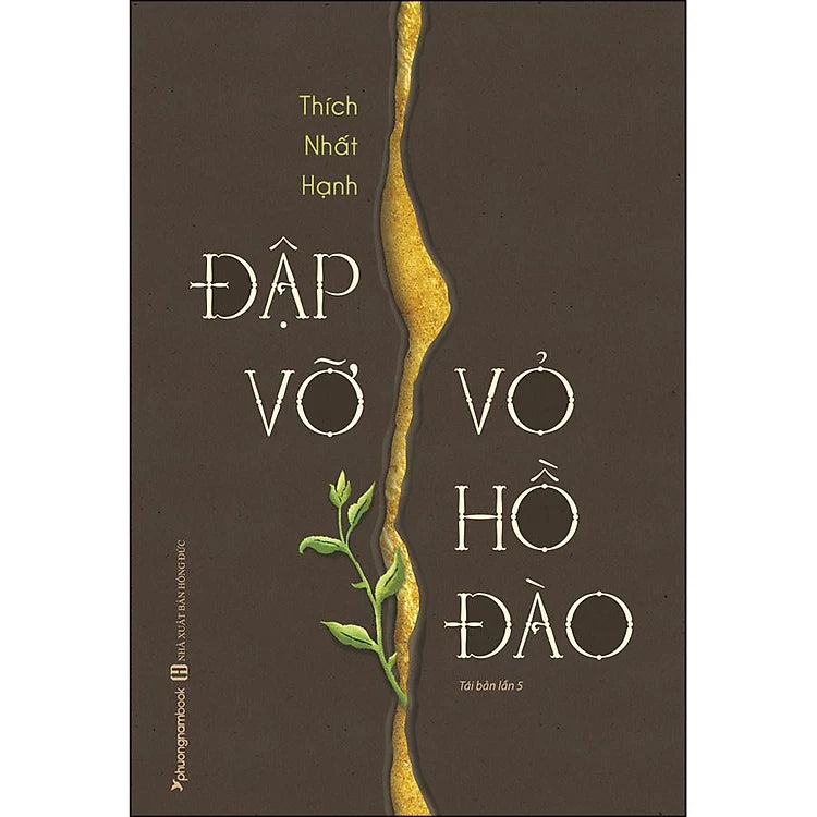 Đập Vỡ Vỏ Hồ Đào (Tái Bản)