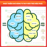 Combo 6 Cuốn Sách 508 Câu Hỏi Rèn Tư Duy Cho Trẻ Tiền Tiểu Học (3-6 Tuổi) - Phát Triển IQ, Tư Duy Logic, Phản Xạ Toàn Diện