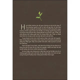 Đập Vỡ Vỏ Hồ Đào (Tái Bản)