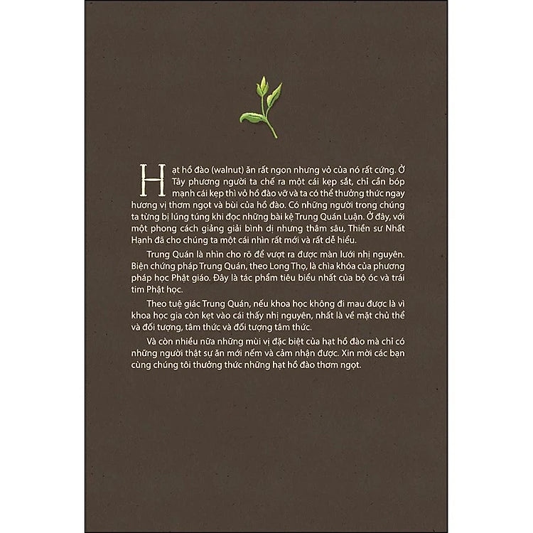 Đập Vỡ Vỏ Hồ Đào (Tái Bản)