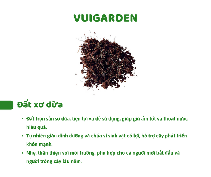 Set Hạt Hoa Sứ Trồng Cây cho bé tự khám phá