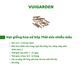 Set Hạt Hoa Sứ Trồng Cây cho bé tự khám phá