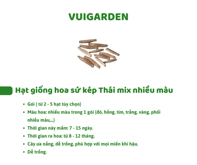 Set Hạt Hoa Sứ Trồng Cây cho bé tự khám phá