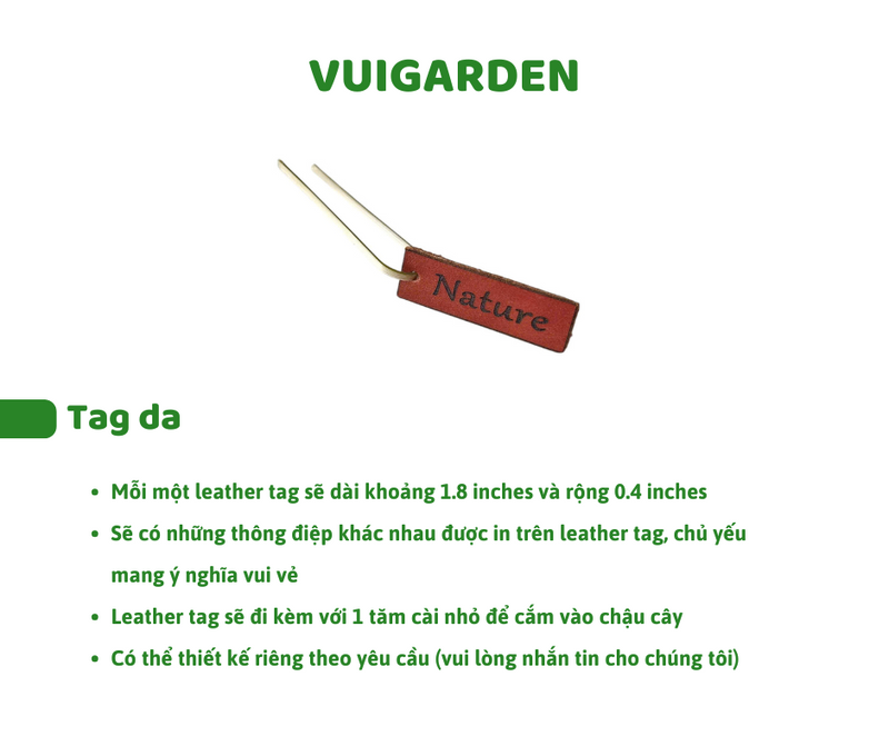 Set Hạt Hoa Sứ Trồng Cây cho bé tự khám phá