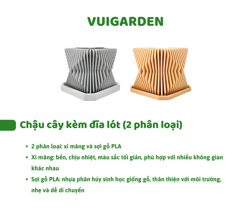 Set Hạt Hoa Sứ Trồng Cây cho bé tự khám phá
