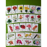 Bộ thẻ học song ngữ Anh Việt 416 thẻ - Cùng con khám phá thế giới từ những năm tháng đầu đời