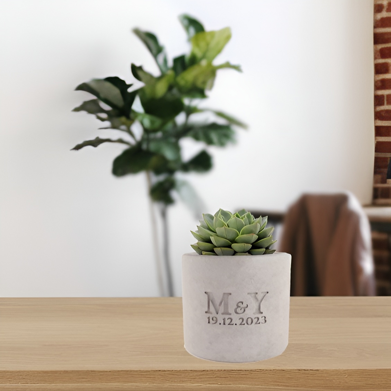 Chậu Cây, Hộp Bút  Khắc Tên Theo Yêu Cầu