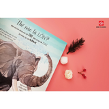 Big book of big animals - Cuốn sách khổng lồ về các loài động vật khổng lồ