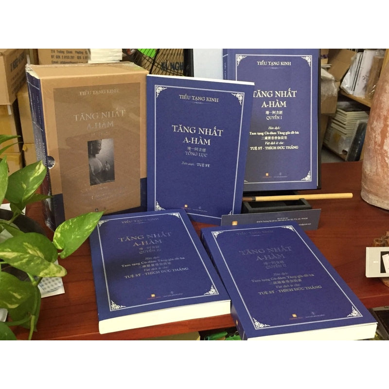 Tăng Nhất A - Hàm (Bộ 4 Quyển, Bìa Mềm)
