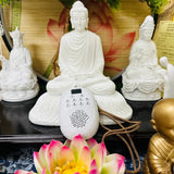 Máy Niệm Phật Lá Bồ Đề, Có Sẳn 58-59 Bài