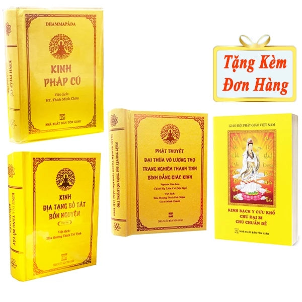 Sách - Combo Kinh Địa Tạng Bồ Tát Bổn Nguyện và Kinh Phật Thuyết Vô Lượng Thọ Bình Đẳng Giác Kinh