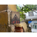 Cô Dâu Đen (Tái Bản)