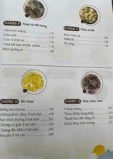 Liệu Pháp Ăn Kiêng Cho Các Loại Bệnh