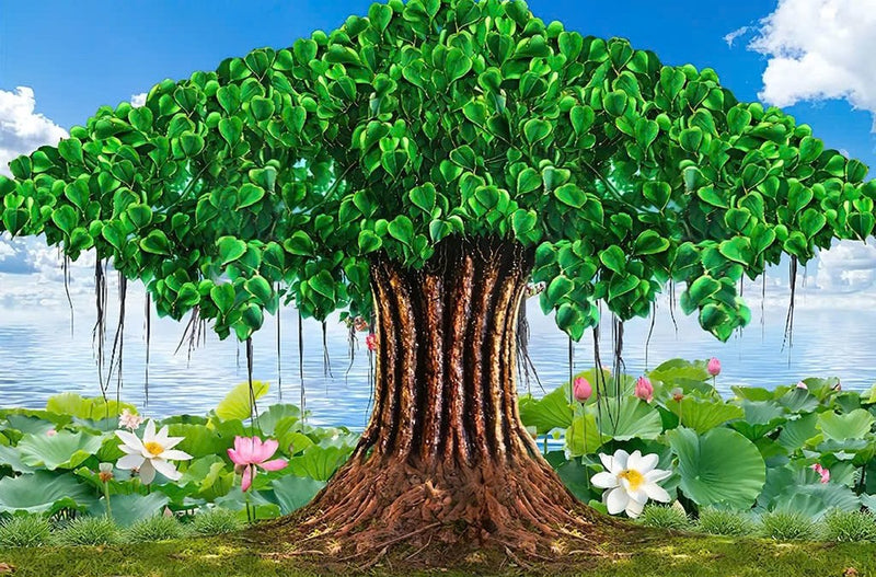 Tranh dán tường Cây Bồ Đề