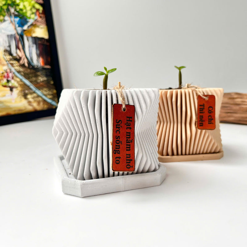 Set Hạt Hoa Sứ Trồng Cây cho bé tự khám phá