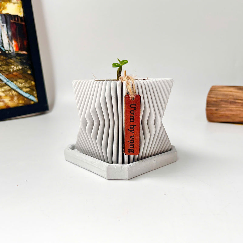 Set Hạt Hoa Sứ Trồng Cây cho bé tự khám phá