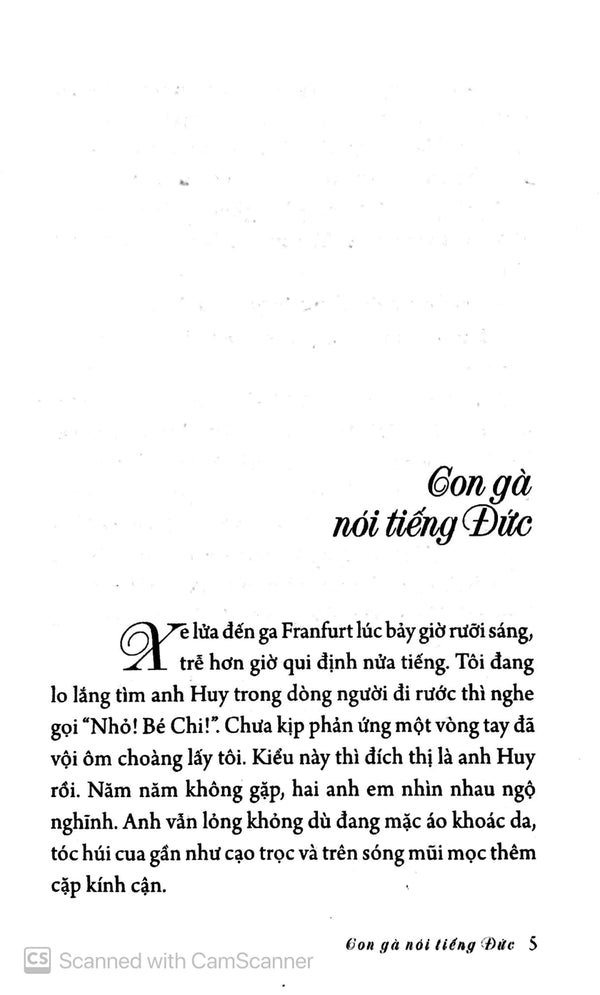Bồ Câu Chung Mái Vòm