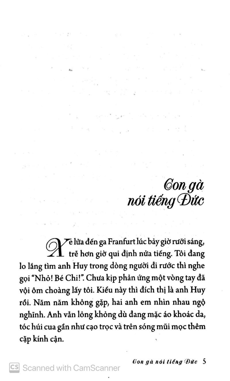 Bồ Câu Chung Mái Vòm